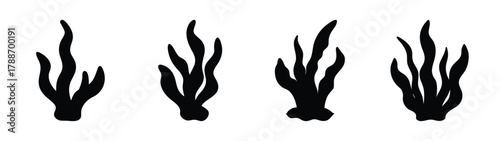 Black and white vector illustration of seaweed marine plants ocean algae sea grass silhouette art