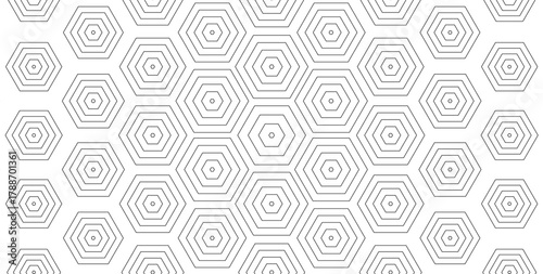 Concentric Hexagonal Pattern, Line Hexagon Geometric Background, Outline Honeycomb Texture BG. Linear Hex Backdrop Wallpaper. White Minimalistic Abstract Backgrounds. Vector Illustration