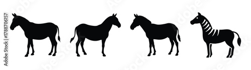 Four silhouette zebras standing side by side vector illustration african wildlife animal art design