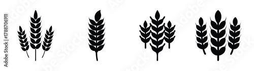 Wheat stalks vector illustration design element for agriculture and harvest season design projects