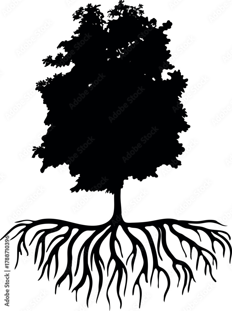 Fototapeta premium Black silhouette of deciduous tree with root system isolated on white background