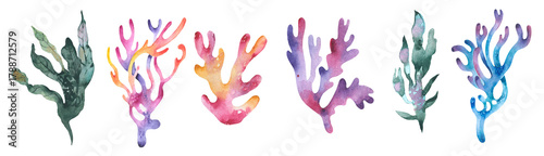 Set of watercolor seaweed and corals isolated on white