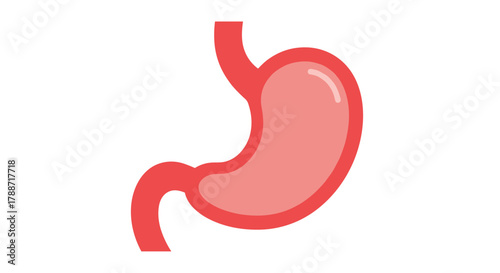 Human stomach organ medical illustration icon digestive system