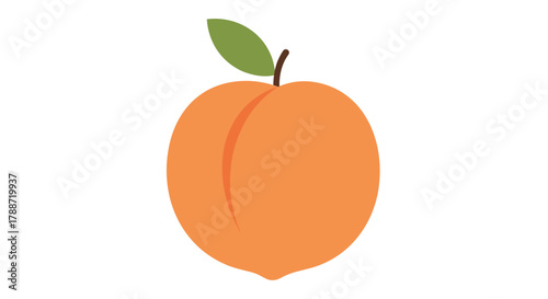 Orange peach fruit with green leaf and stem, flat vector graphic