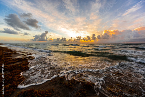 Sunrise Over the Atlantic Ocean with Seaweed on the Shore, Boca Raton, Florida