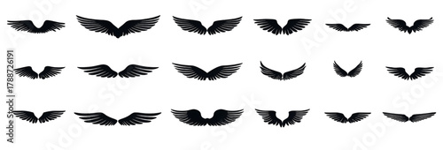 Set of various black wings icons isolated on a white background.