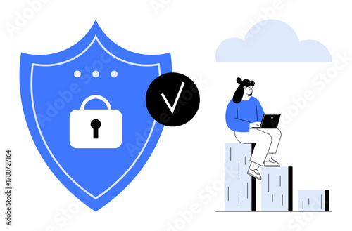 Shield featuring lock icon and checkmark beside user working on laptop atop a bar graph. Ideal for cybersecurity, privacy, data protection, digital safety, technology, online security, tangible