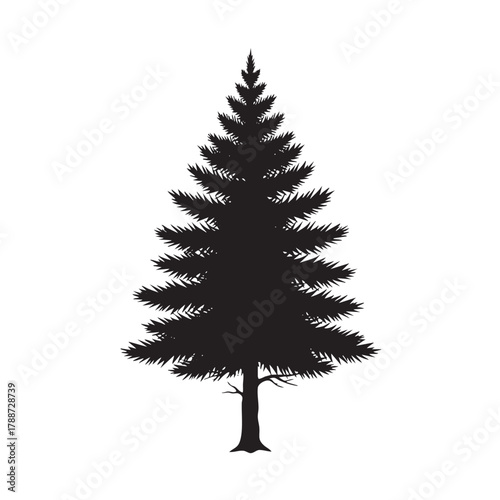 Black silhouette of a pine tree with detailed branches and needles on a white background conifer