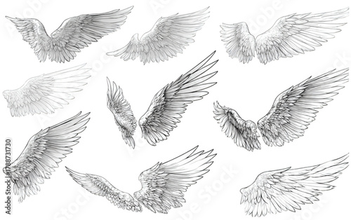 Hand drawn set of angel wings in various poses sketch illustration.