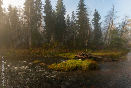 Latvia. Amata nature trail in the morning in autumn.	
