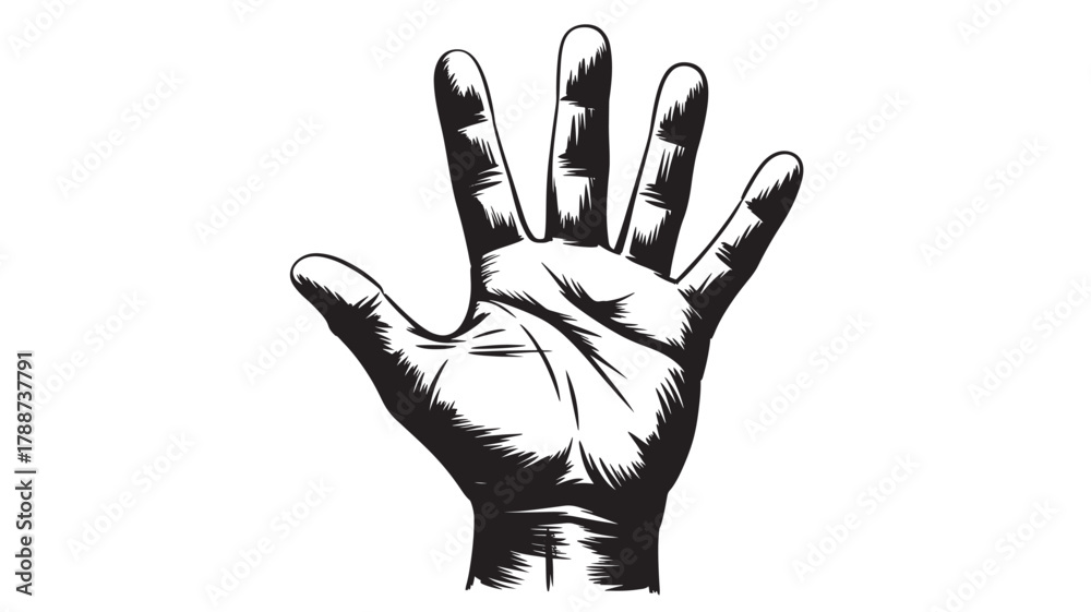Obraz premium Open hand illustration detailed black and white drawing isolated on white background