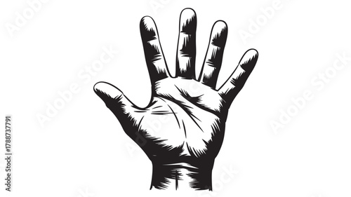 Open hand illustration detailed black and white drawing isolated on white background