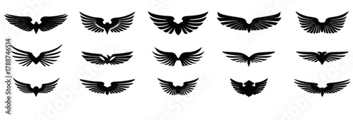 Collection of black wing silhouettes isolated on white background.