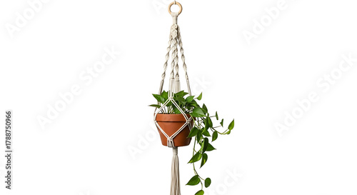 A stylish, cream-colored macrame plant holder suspends a terracotta pot with a trailing green plant on a black background.