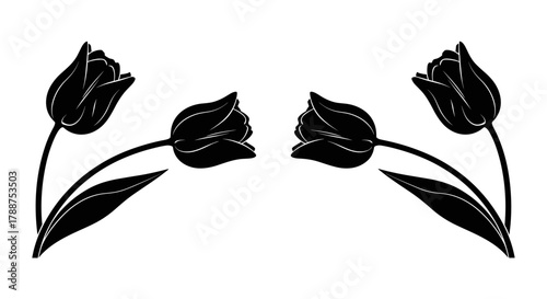 Black tulips with leaves arranged in symmetrical pattern  