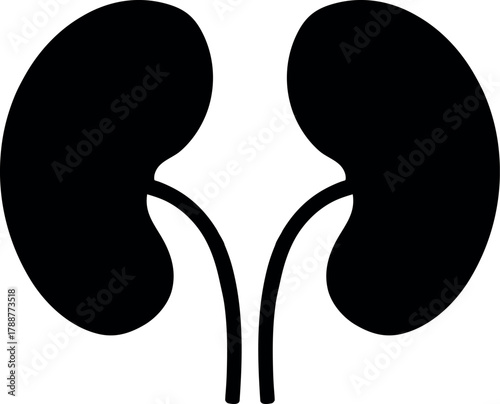 Black Silhouette of Human Kidneys with Ureters