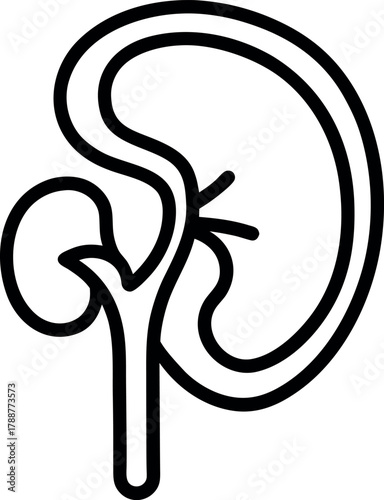 Human Kidney Anatomy with Adrenal Gland Line Drawing