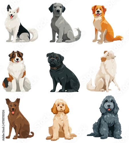 Collection of nine different dog breeds illustrated in a modern style.