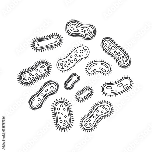 Minimalist black outline vector of diverse bacteria, symbolizing microbial life, biological diversity, and microscopic interactions in a scientific concept. Isolated on a transparent background