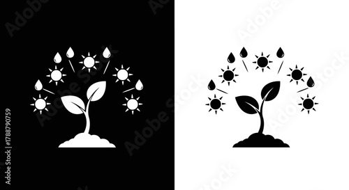 Minimalist Plant Growth Vector Icon Set with Sun and Water Symbols Black and White