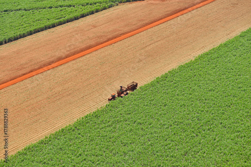 Colheita em canavial