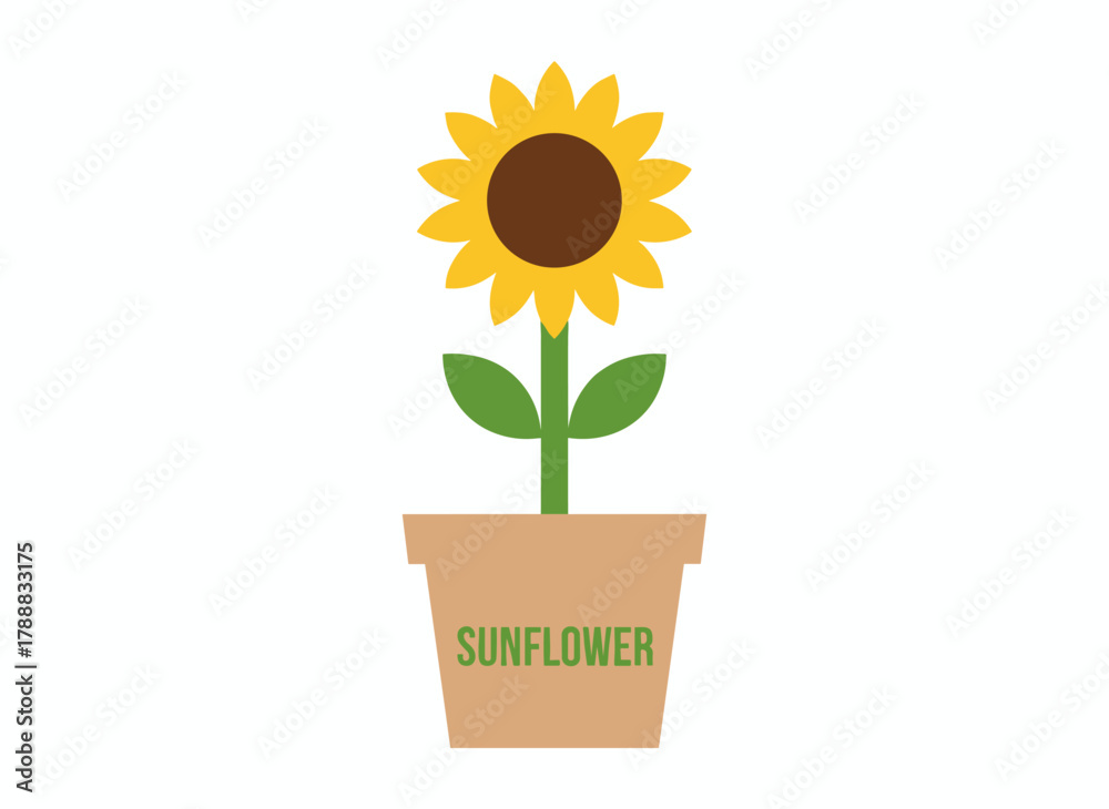 Obraz premium Bright green microgreen sprouts in a pot, fresh sunflower microgreen leaves in a container, seedlings thriving in a planter, all depicted in a flat vector illustration of eco-friendly vegetarian