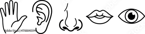 Senses: human perception line icons Vector