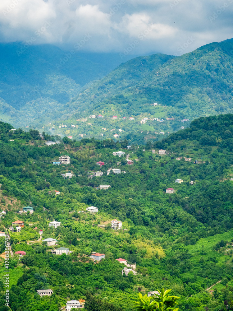 Fototapeta premium village in mountain valley in suburbs of Batumi