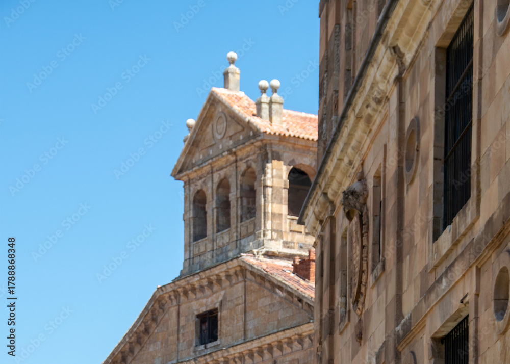 Fototapeta premium Ornate historic building facade, salamanca, spain