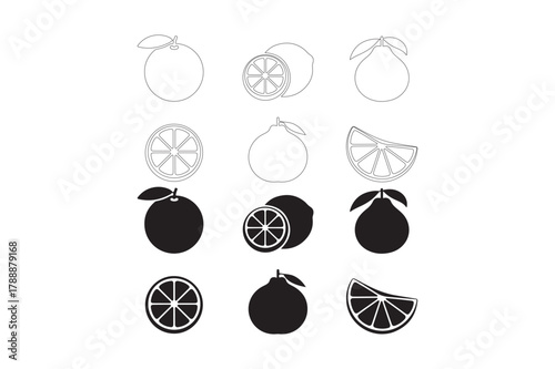 Collection of stylized citrus fruit illustrations in black and white
