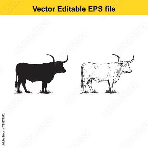 Black silhouette and sketch of a longhorn bull standing