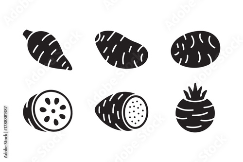 Collection of hand drawn root vegetables and fruits