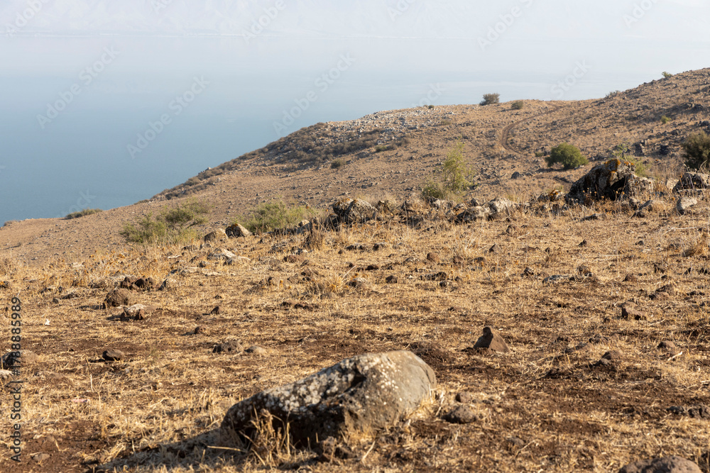 Φωτογραφία Tiberias, Israel, Arid, rocky ground and dry grasses on the rolling hill of mount arbel, overlooking the sea of galilee