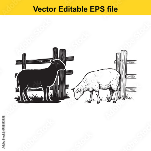 Two sheep illustrations, one black silhouette and one detailed drawing, one sheep grazing near a wooden fence on a