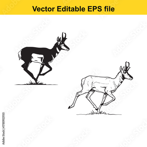 Energetic black and white vector illustration of a running pronghorn antelope, depicted in both silhouette and detailed line art styles