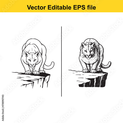 Two cougars on rocky ledges, one facing left, one facing right, vector illustration