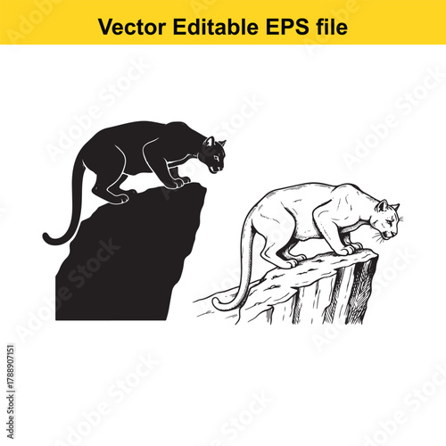Black silhouette of a cougar on a cliff next to a detailed drawing of a cougar on a rocky ledge