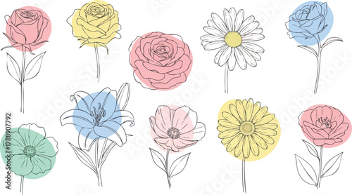 Colorful floral arrangement of various flower types with delicate line art.