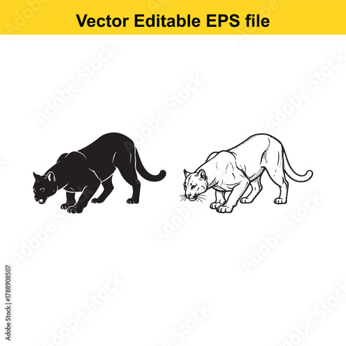 Black panther and white panther illustration, vector art