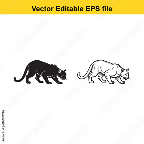 Black panther and white panther illustration, vector art