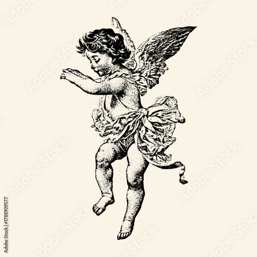 Bild auf Leinwand Vintage Cherub Angel with Wings and Drapery.