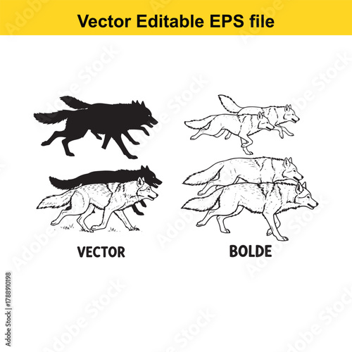 Set of wolf silhouettes and line art illustrations