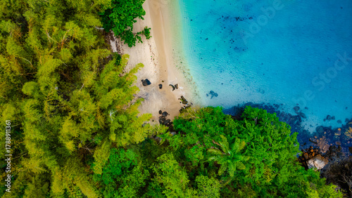 Wallpaper Mural Paradisiacal Tropical Beach With Blue Sea Atlantic Ocean Coast Surrounded By Atlantic Forest Angra Dos Reis Rio De Janeiro Brazil South America Idyllic Heavenly Landscape Summer Travel Destination Torontodigital.ca