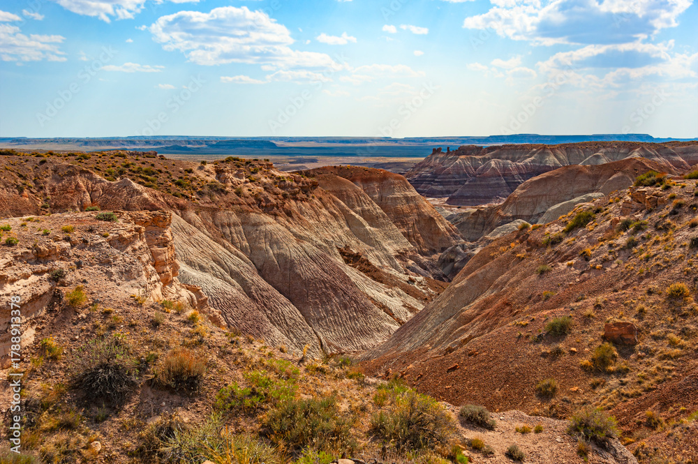 Obraz premium Petrified Forest National Park is a national park of the United States in Navajo and Apache counties in northeastern Arizona, famous for petrified logs, fossils, badlands, ancient petroglyphs, painte