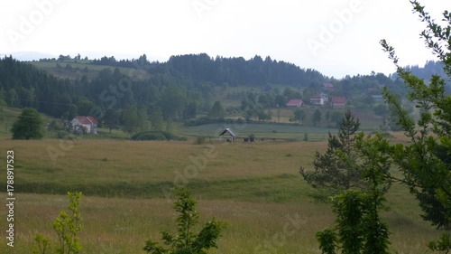 Rural landscape with small village in a valley. Scenic view of a picturesque countryside with rolling hills, lush green meadows, and a small farming village nestled in the valley