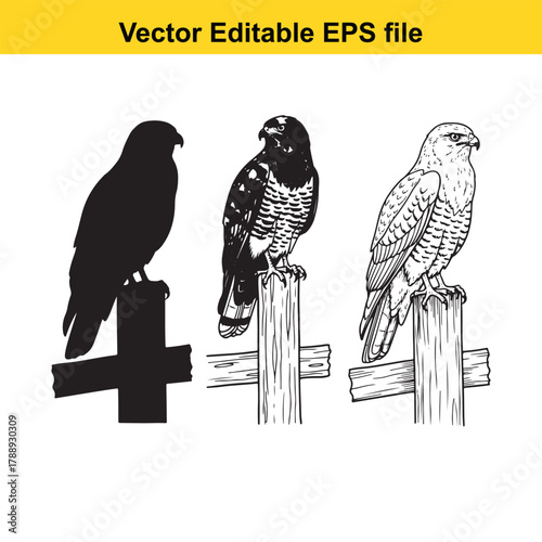 Three birds of prey perched on wooden posts, including a silhouette, a detailed drawing, and a sketch