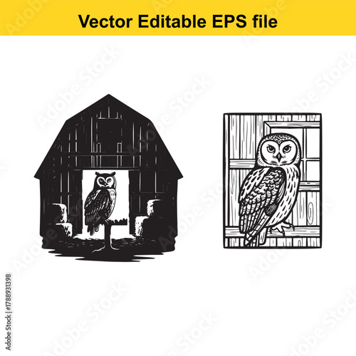 Owl in a barn and owl on a window sill