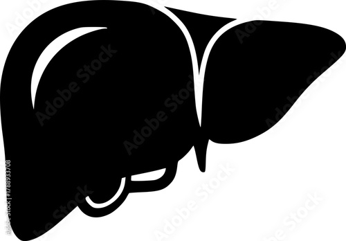 liver silhouette line art vector illustration with a white background
