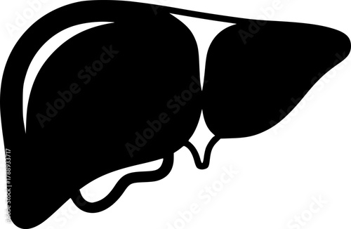 liver silhouette line art vector illustration with a white background
