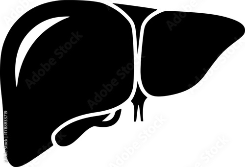 liver silhouette line art vector illustration with a white background
